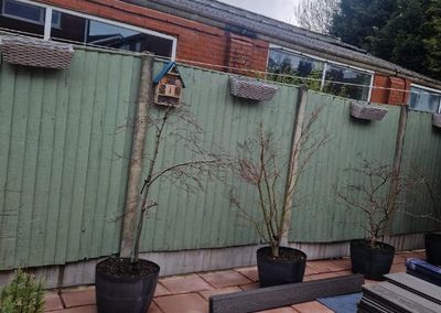 Garden with old timber fencing before new composite fencing