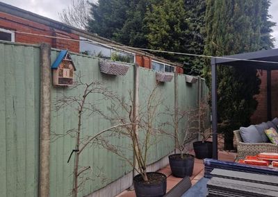 Garden with old timber fencing before new composite fencing