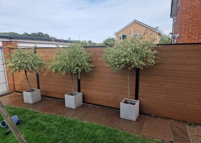 Oak effect composite fence behind a garden lawn